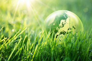 © Romolo Tavani - Fotolia.com Foto: Glaskugel im Gras