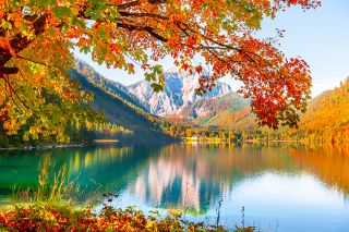 © smallredgirl - stock.adobe.com Foto: Gelbe Herbstbäume am Ufer eines Sees